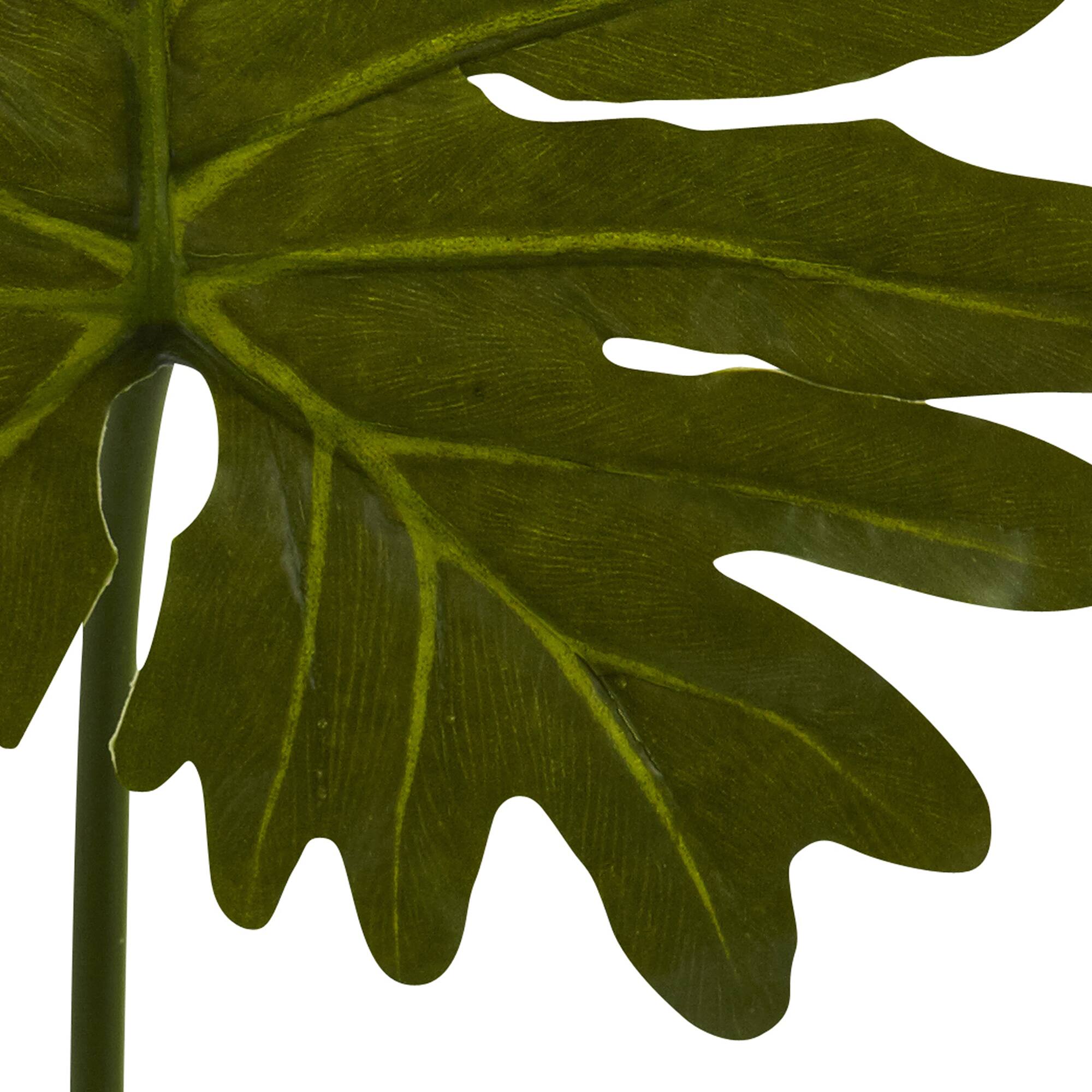 Selloum Philo Single Leaf Stem, 12ct.